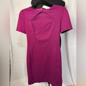 Banana Republic Magenta fitted sheath dress size 0